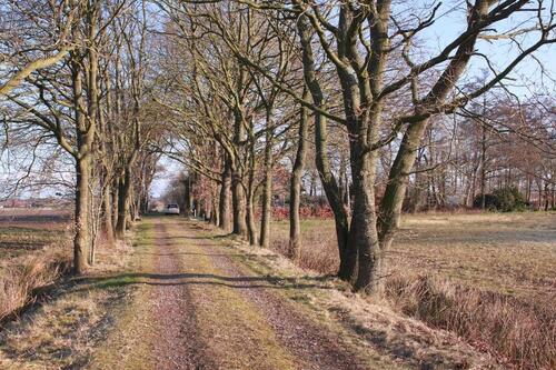 Foto - Einfamilienhaus zum Kaufen in Blomberg