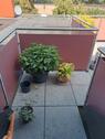 Foto - 3 Zimmer Dachgeschoßwohnung in Scheeßel