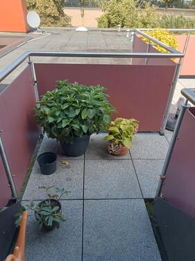 Foto - 3 Zimmer Dachgeschoßwohnung in Scheeßel