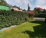 Foto - Einfamilienhaus in Bad Lausick zum Kaufen
