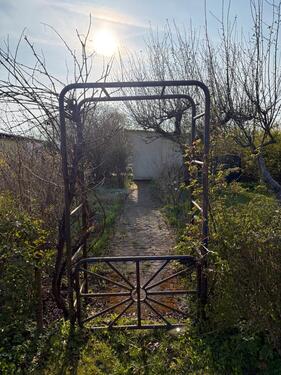 Foto - Schöner Kleingarten in Rostock-Lichtenhagen (Strandnähe)