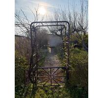 Schöner Kleingarten in Rostock-Lichtenhagen (Strandnähe)