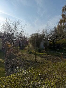 Foto - Grundst&uuml;ck zur Miete in Rostock