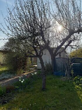 Foto - Grundst&uuml;ck in Rostock