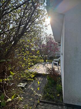 Foto - Grundst&uuml;ck in Rostock zur Miete