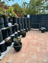 Foto - 4 Zimmer Terrassenwohnung zum Kaufen in Birkenfeld
