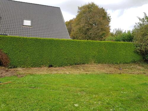 Foto - Garten, Gartengrundstück, Grundstück