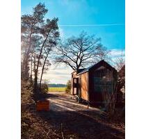 Tiny Haus mit 940qm Grundstück in der Lüneburger Heide - Schneverdingen