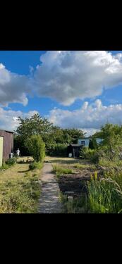 Foto - Garten mit Gartenhaus (inkl. WC & kleiner Küche) in Reutershagen