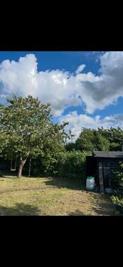 Foto - Grundst&uuml;ck zur Miete in Lambrechtshagen