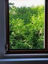 Foto - Haus in fast Alleinlage am Waldrand für PferdehaltungTierhaltung