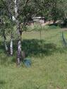 Foto - 3 Zimmer Einfamilienhaus zum Kaufen in Wiesenburg/Mark