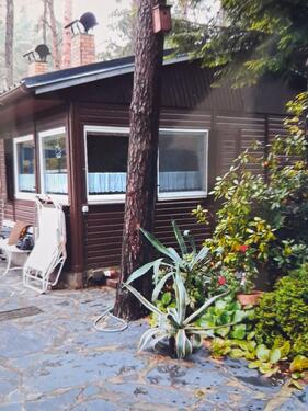 Foto - 4 Zimmer Bungalow in Märkische Heide