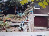 Foto - Bungalow in Märkische Heide zum Kaufen