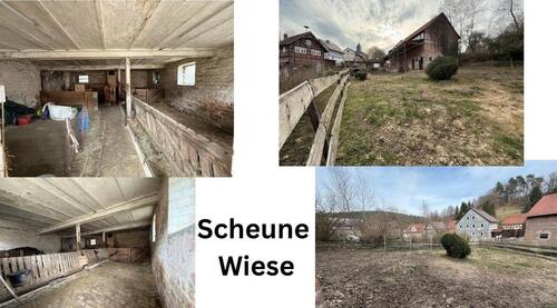 Foto - 