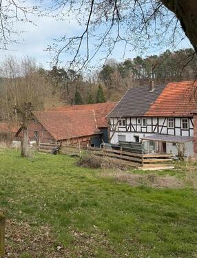 Foto - 6 Zimmer Bauernhaus, Landhaus zum Kaufen in Alheim