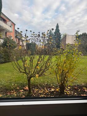 Foto - Etagenwohnung in Mönchengladbach