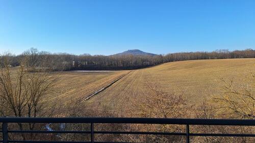 Foto - Wunderschöner und unverbauter Blick auf den Hausberg von Görlitz!