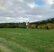 Haus in 96364, Nebengebäude, Alleinlage, zentral, 1800qm Grund - Marktrodach