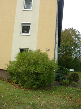 Foto - Etagenwohnung zur Miete in Osterrönfeld