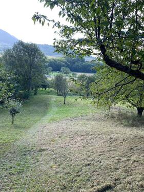 Foto - Grundstück in Weilheim an der Teck zur Miete