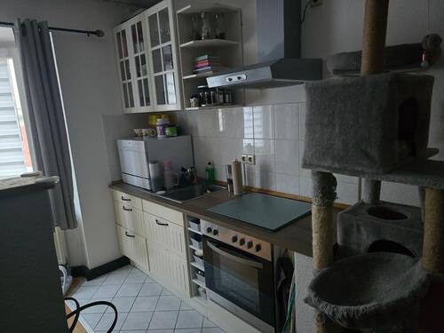 Foto - Etagenwohnung in Erfurt zur Miete