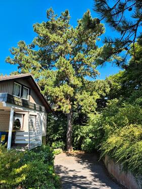 Foto - Bungalow in Stadtoldendorf zum Kaufen