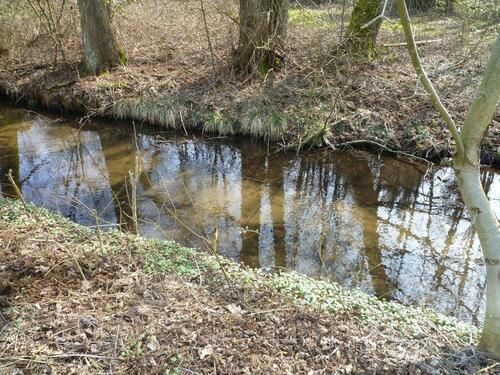 Foto - Einfamilienhaus in Wittstock/Dosse zum Kaufen