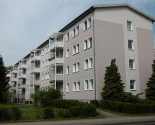 2 Raumwohnung perfekt für Singles - Forst (Lausitz)