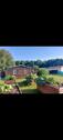Foto - Garten Pachtgarten ca. 280m² - 500,00 EUR Kaltmiete, ca.  0,00 m²
