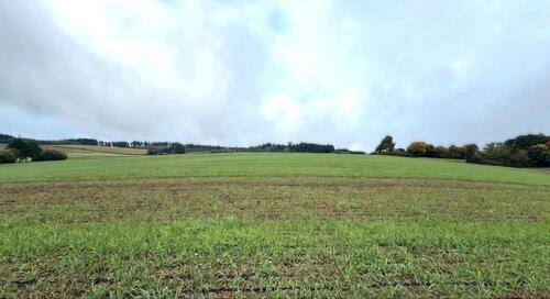 Foto - Landwirtschaftsfläche bei Lemberg