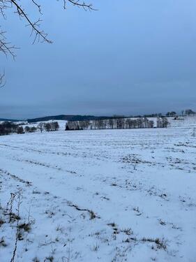 Foto - andere zur Miete in Mulda/Sa.