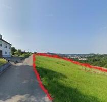 Weidingen (Wiltz): Wiese zu Verpachten - Mettendorf