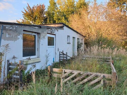 Foto - Einfamilienhaus in Königs Wusterhausen zum Kaufen