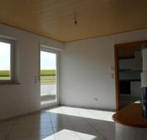 Lichtdurchflutete 6-Zimmerwohnung in Mittelbiberach