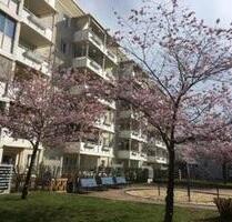 Familienfreundliches Zuhause mit Garten und gemütlichem Wannenbad entdecken - Gera Lusan