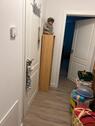 Foto - Etagenwohnung in Radebeul zur Miete