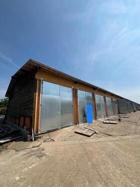 Foto - 52 qm Halle in Peine zu vermieten