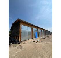 52 qm Halle in Peine zu vermieten