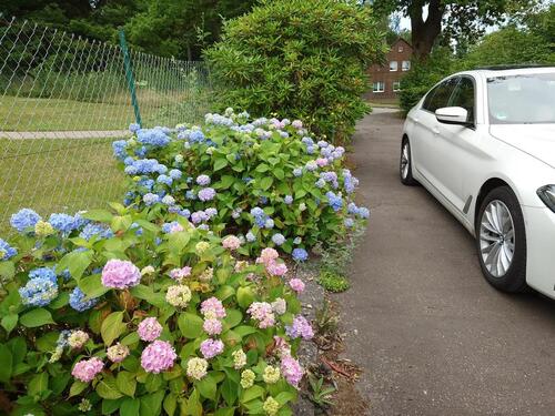 Foto - 2 Zimmer Etagenwohnung in Holzminden
