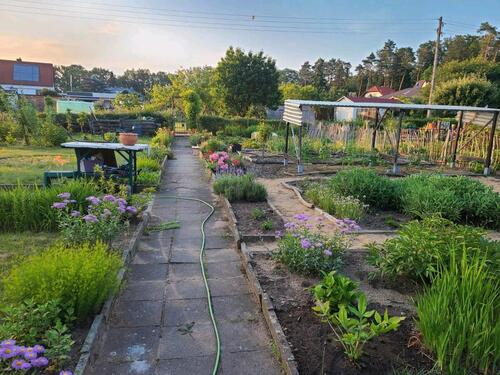 Foto - 