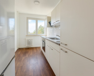 Helle 4-Raum-Wohnung mit Balkon, Naturidylle und Stellplatz – Nähe Erfurt, Weimar & Arnstadt zu vermieten! - Rudolstadt