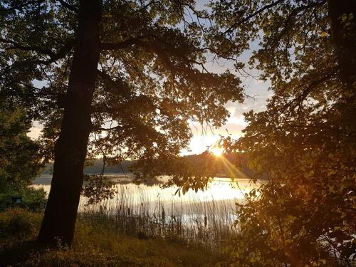 Foto - andere zur Miete in Kyritz