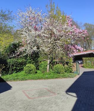 Foto - Einfamilienhaus in Worpswede zum Kaufen