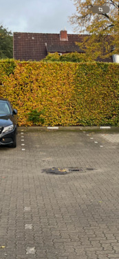 Foto - PKW Privat Parkplatz - 100,00 EUR Miete,