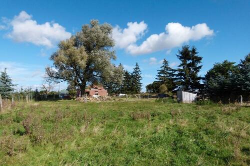 Foto - Einfamilienhaus zum Kaufen in Rosenow