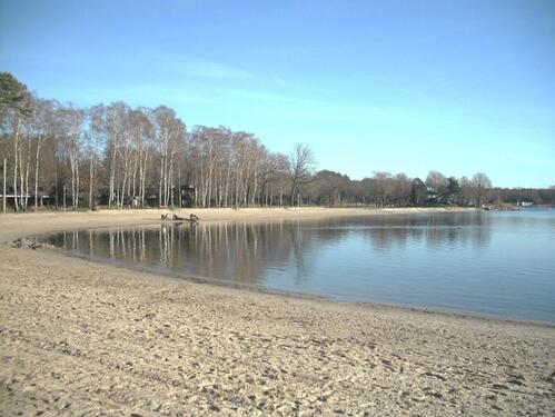 Foto - 3 Zimmer Doppelhaushälfte zur Miete in Isenbüttel