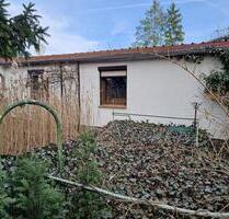 Verkaufe ein kleines Eigenheim mit 1253 m² Grundstück (Bauland) - Forst (Lausitz)