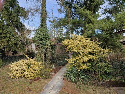 Foto - Bungalow in Forst (Lausitz)