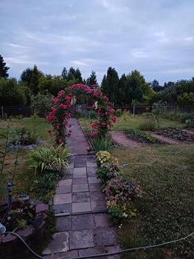 Foto - Grundst&uuml;ck in Farnstädt zur Miete